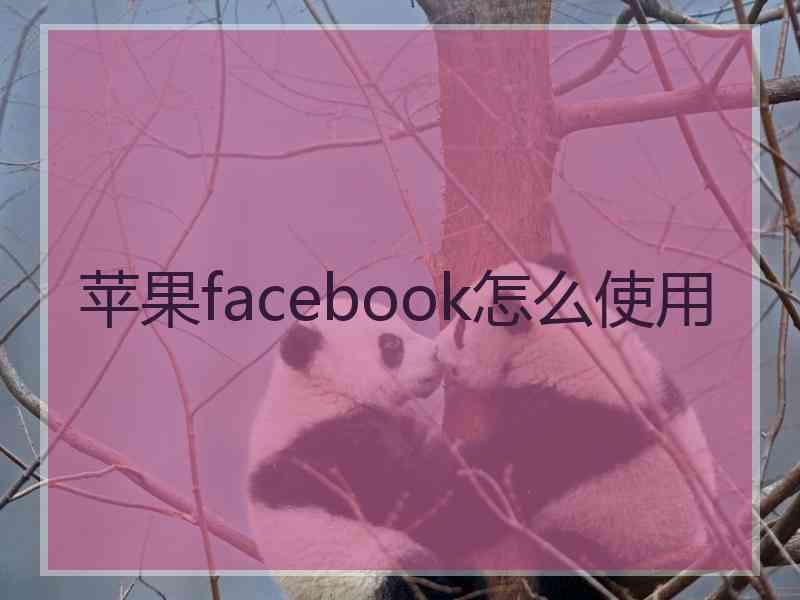 苹果facebook怎么使用