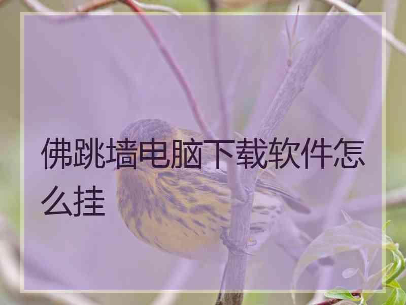 佛跳墙电脑下载软件怎么挂