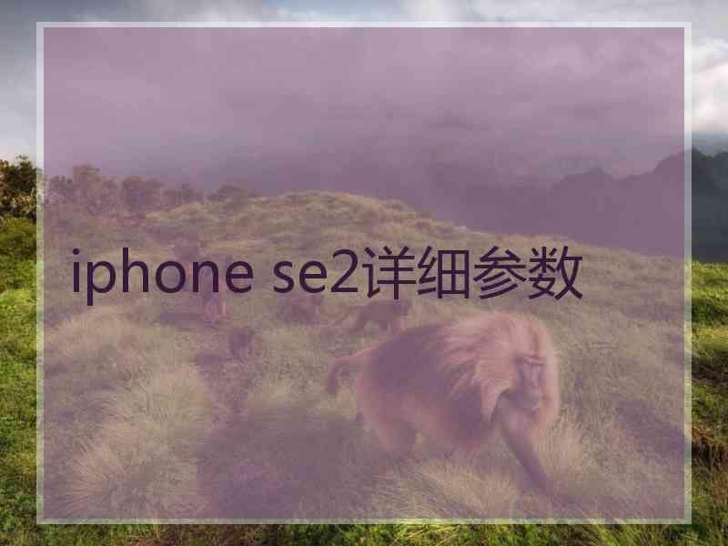 iphone se2详细参数