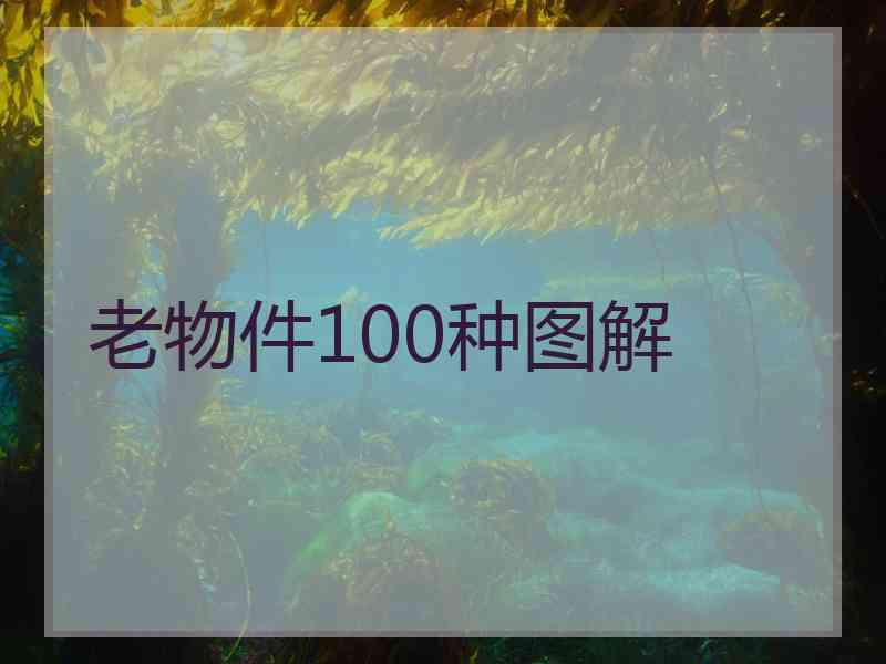 老物件100种图解