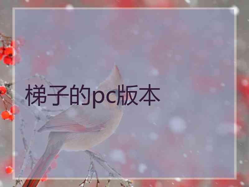 梯子的pc版本