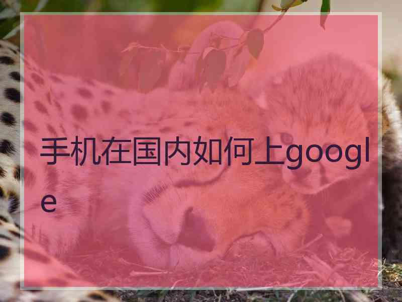 手机在国内如何上google