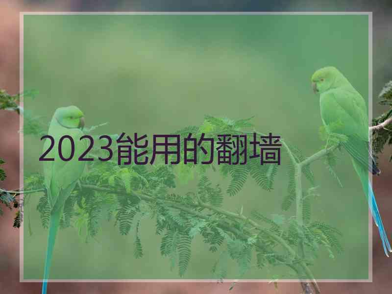 2023能用的翻墙