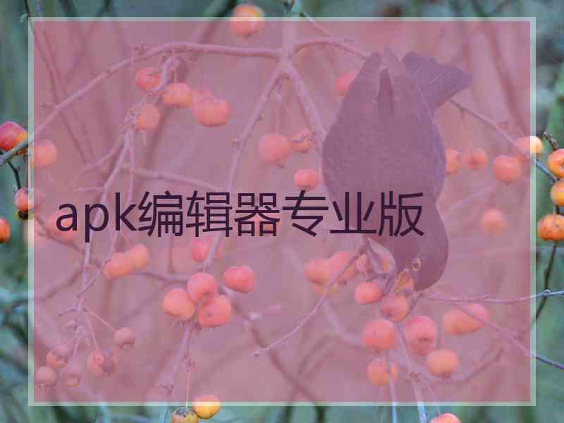 apk编辑器专业版