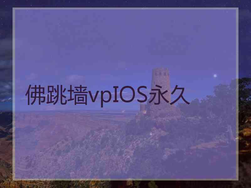 佛跳墙vpIOS永久