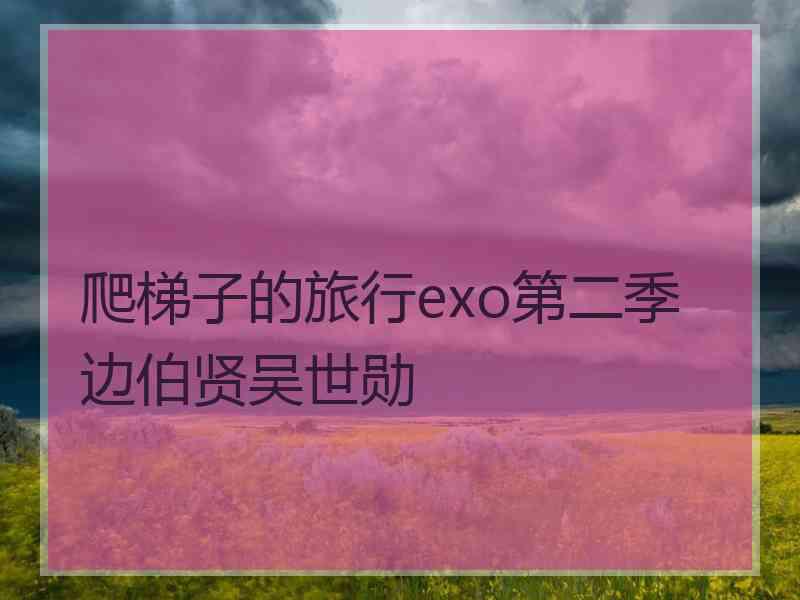 爬梯子的旅行exo第二季边伯贤吴世勋