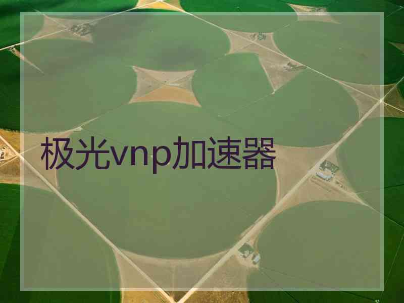 极光vnp加速器