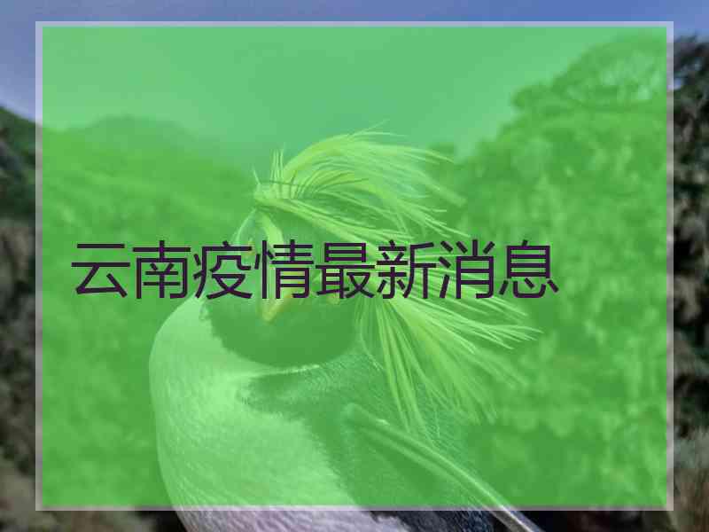 云南疫情最新消息