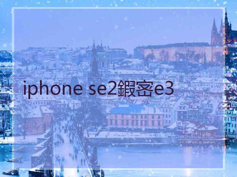 iphone se2鍜宻e3