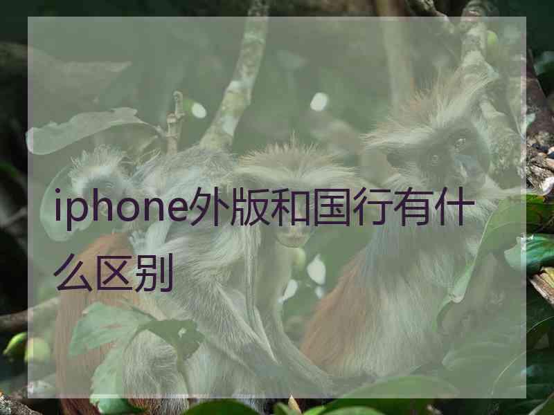 iphone外版和国行有什么区别