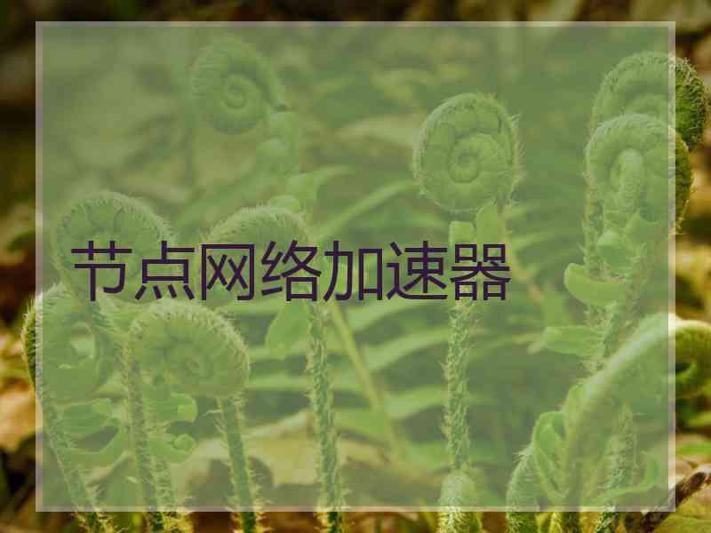 节点网络加速器