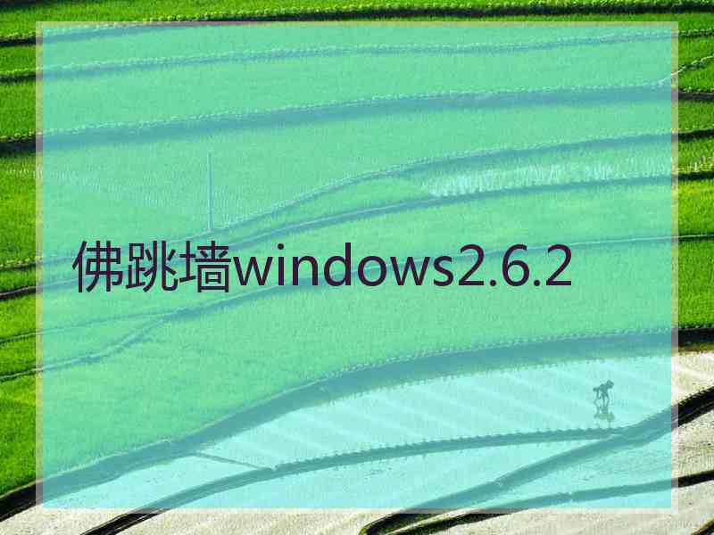 佛跳墙windows2.6.2