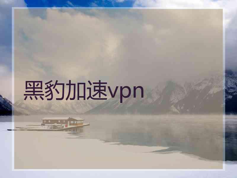 黑豹加速vpn