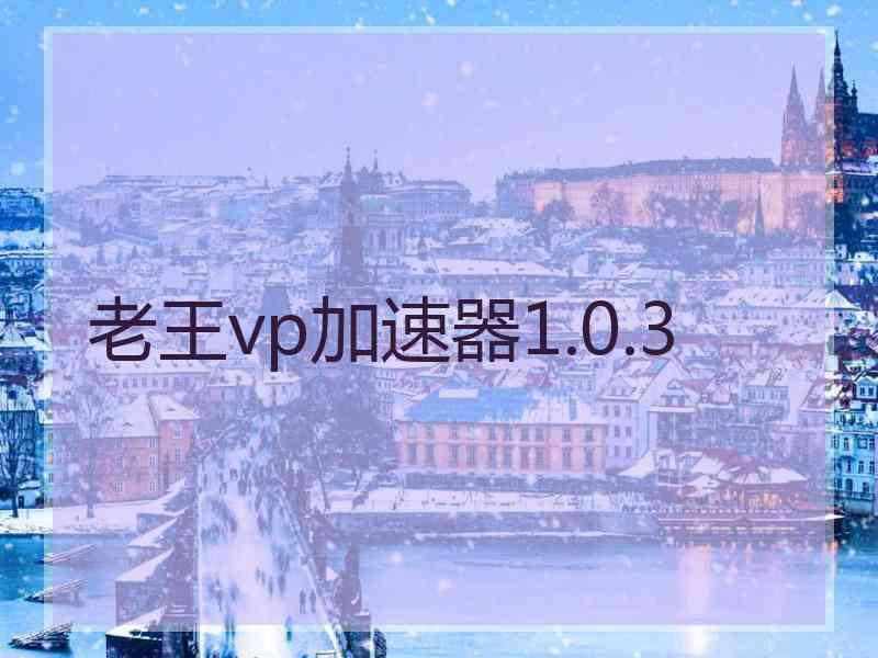 老王vp加速器1.0.3