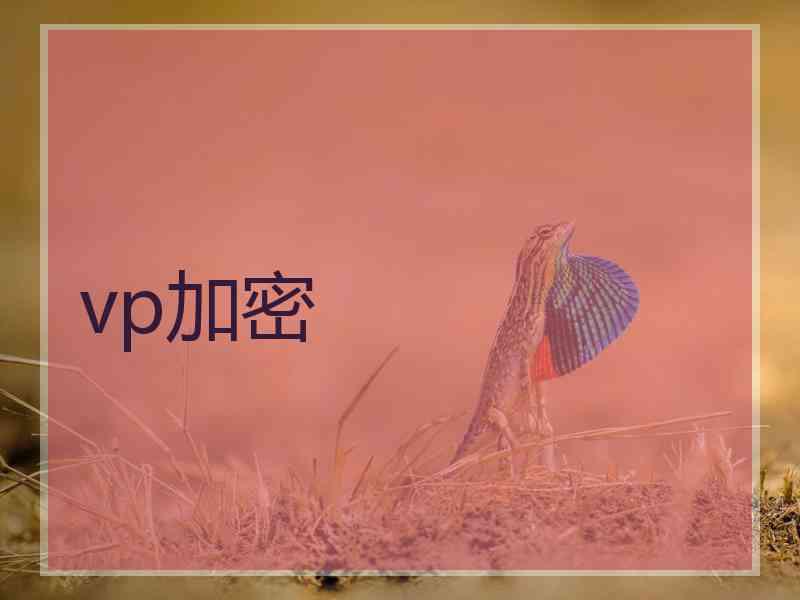 vp加密