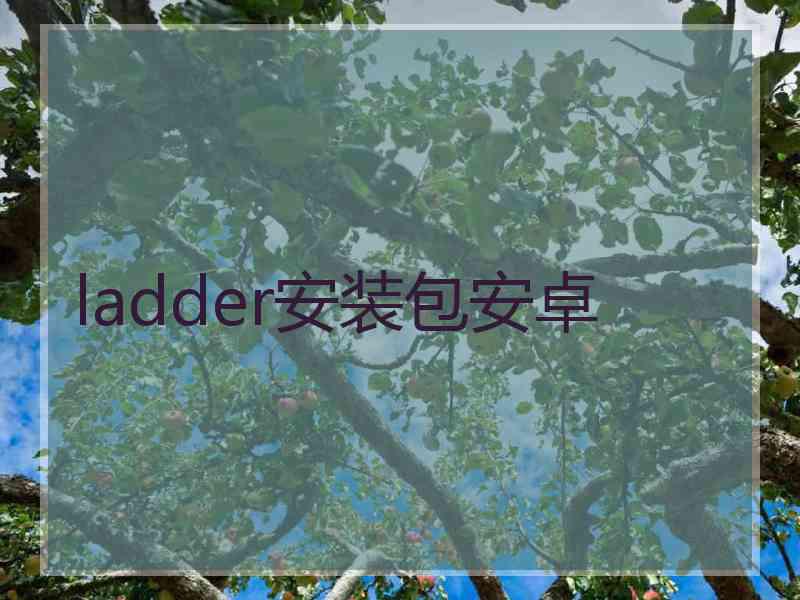 ladder安装包安卓