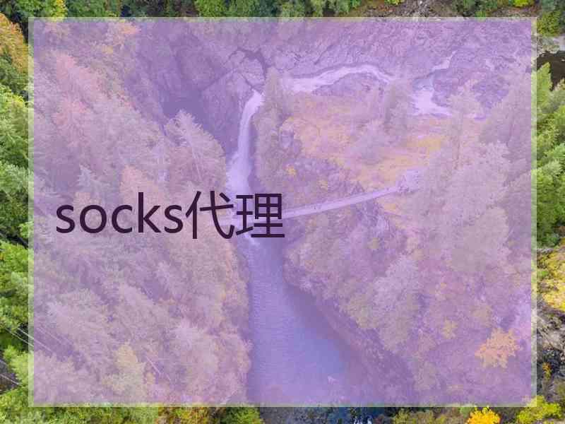 socks代理