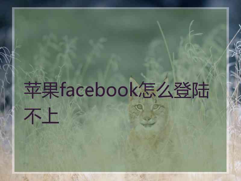 苹果facebook怎么登陆不上