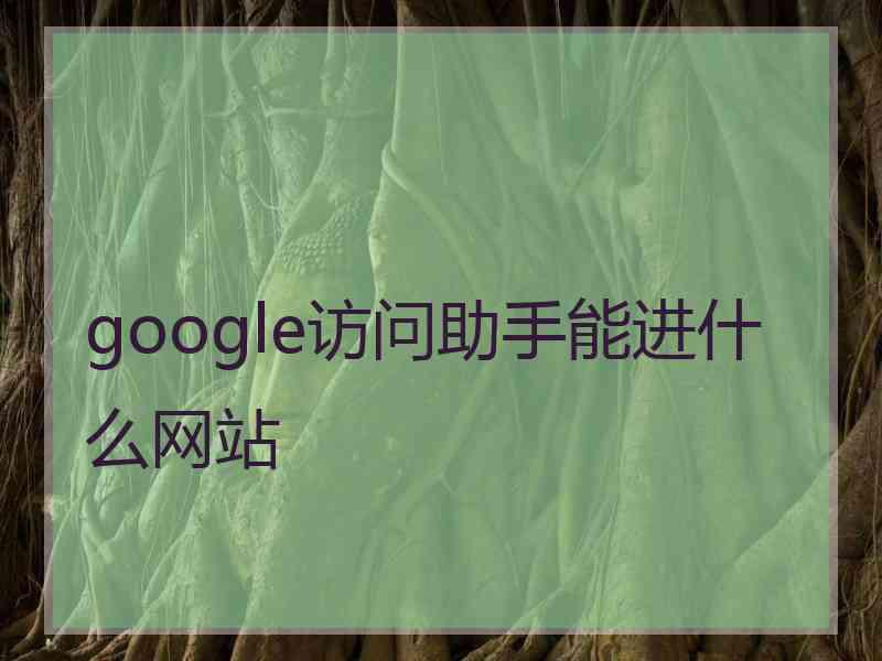 google访问助手能进什么网站