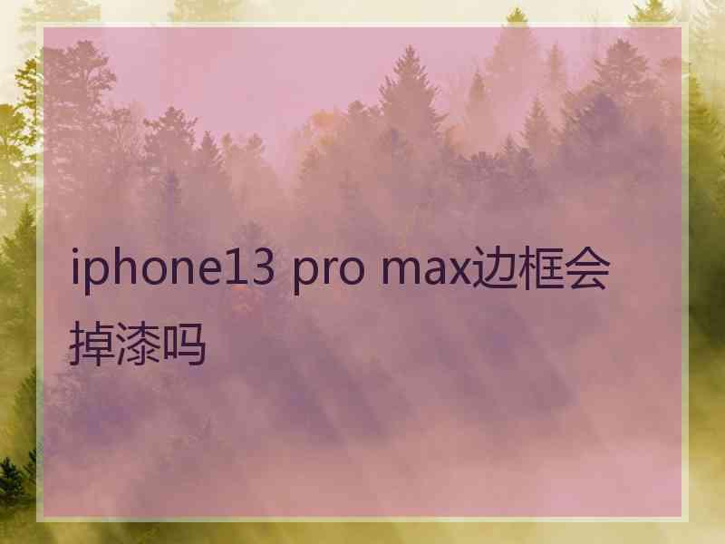 iphone13 pro max边框会掉漆吗