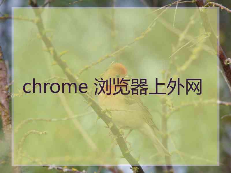 chrome 浏览器上外网