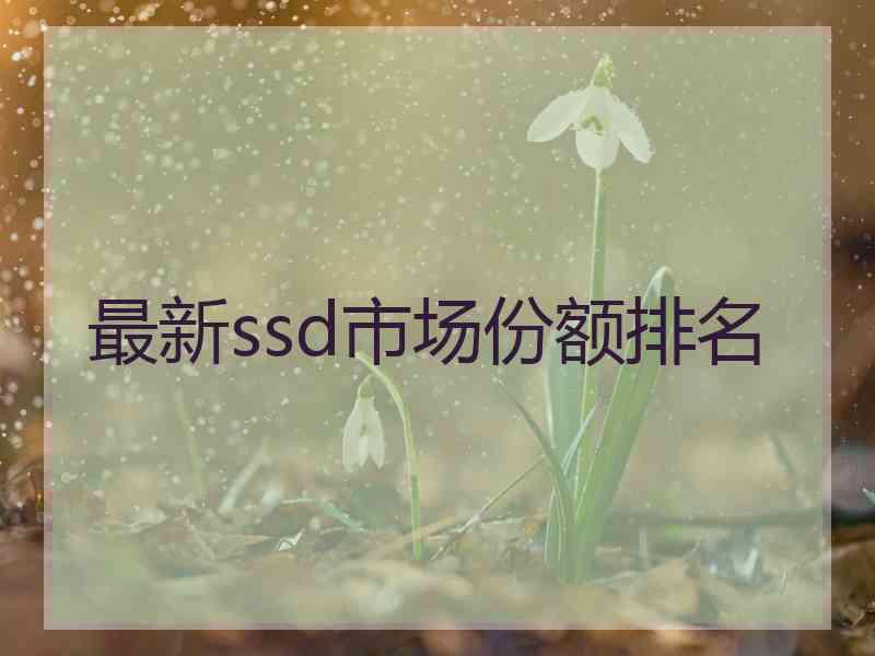 最新ssd市场份额排名