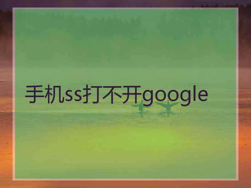 手机ss打不开google