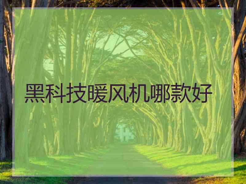 黑科技暖风机哪款好