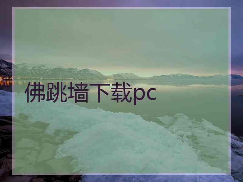 佛跳墙下载pc