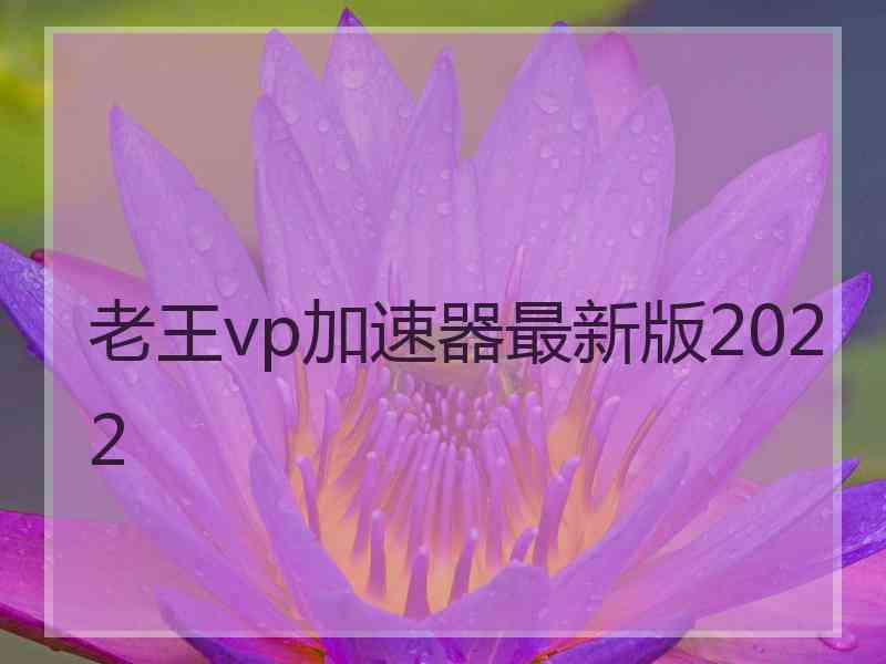 老王vp加速器最新版2022