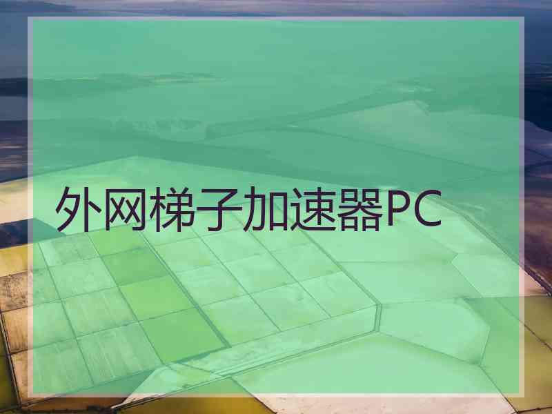 外网梯子加速器PC