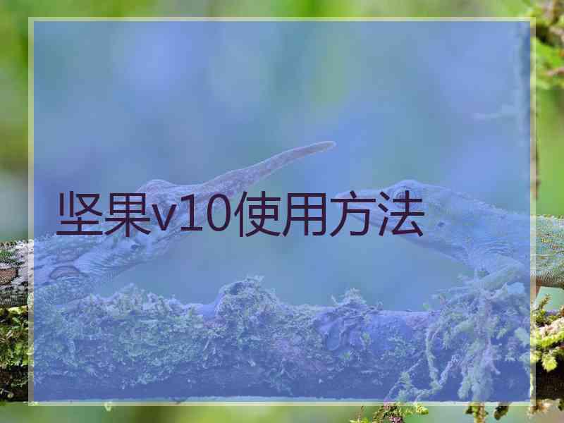 坚果v10使用方法