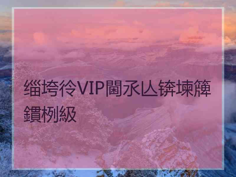 缁垮彾VIP閫氶亾锛堜簰鏆栵級