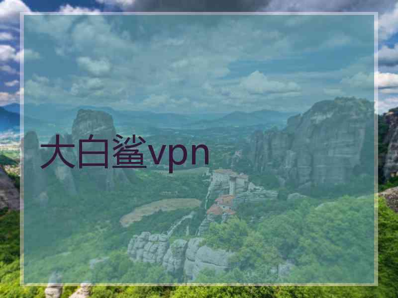 大白鲨vpn