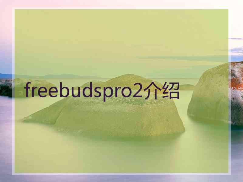 freebudspro2介绍