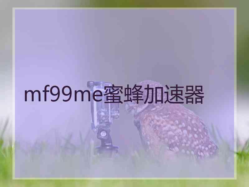 mf99me蜜蜂加速器