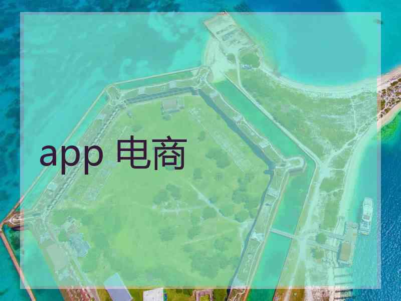 app 电商