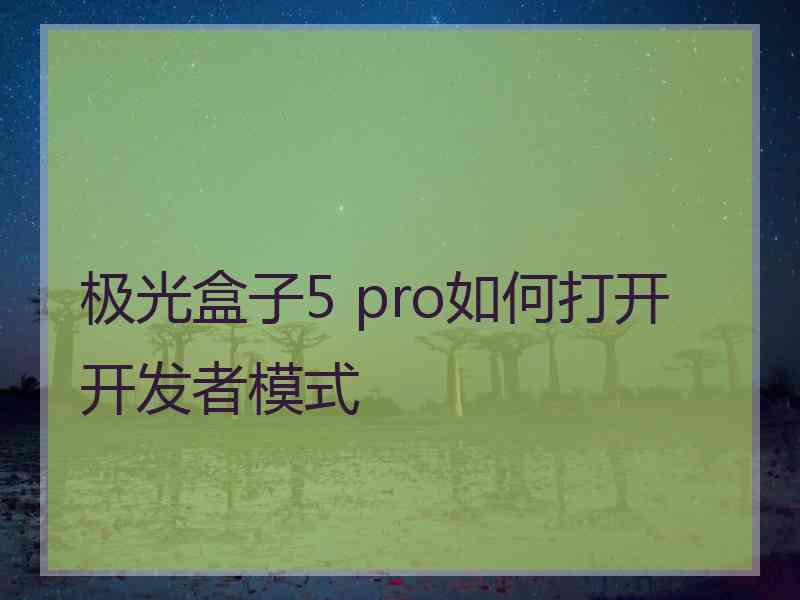 极光盒子5 pro如何打开开发者模式