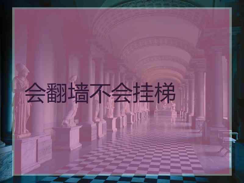 会翻墙不会挂梯