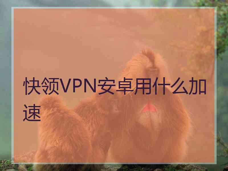 快领VPN安卓用什么加速