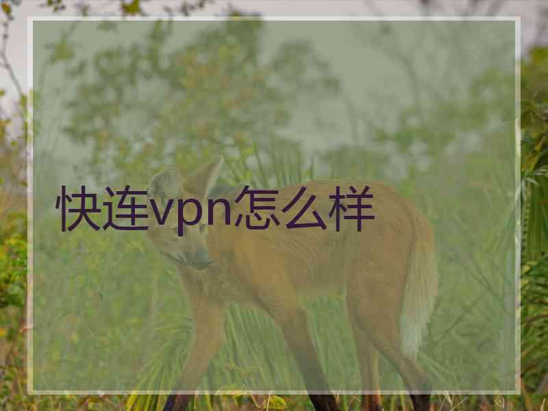 快连vpn怎么样