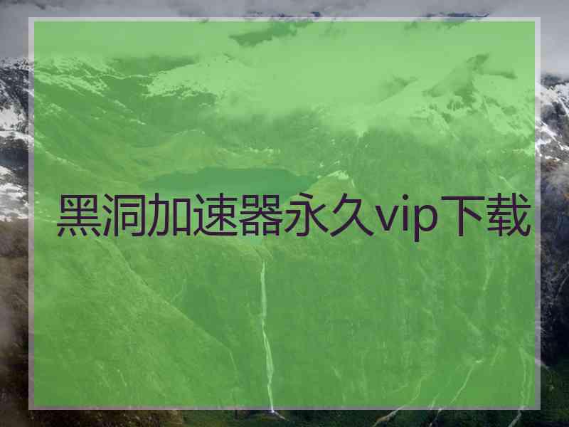 黑洞加速器永久vip下载