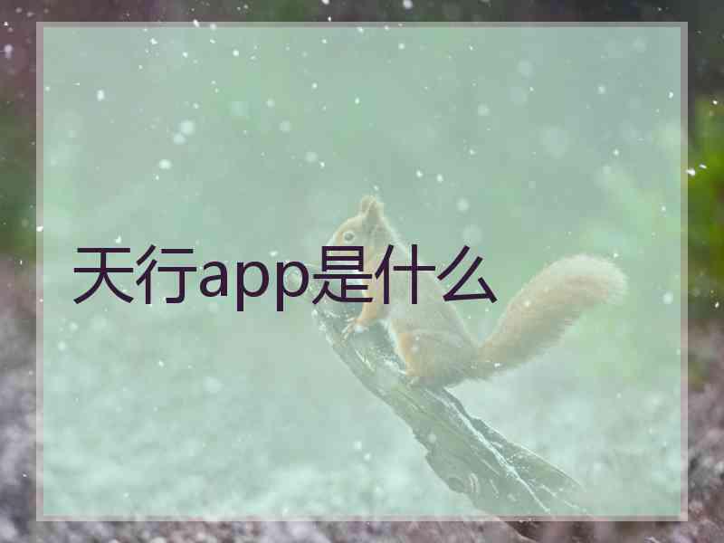 天行app是什么