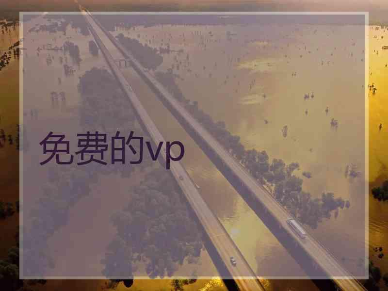 免费的vp