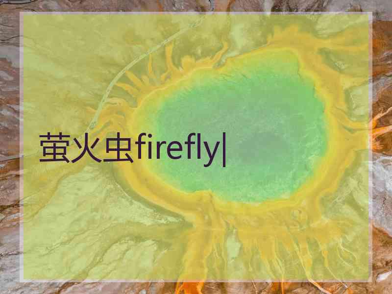 萤火虫firefly|