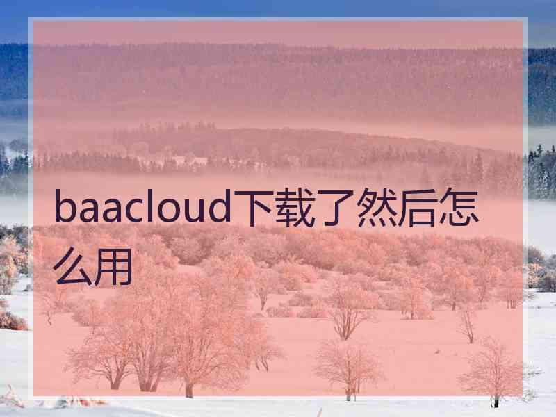 baacloud下载了然后怎么用