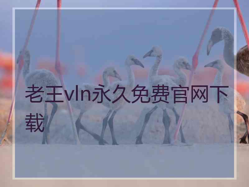 老王vln永久免费官网下载