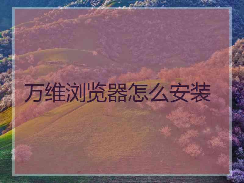 万维浏览器怎么安装