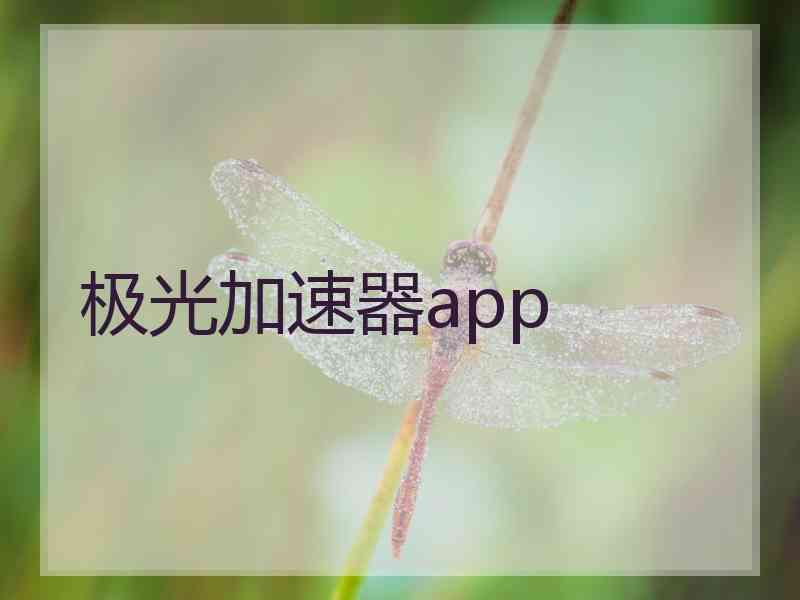 极光加速器app