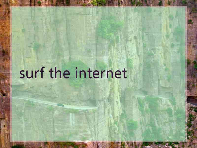 surf the internet